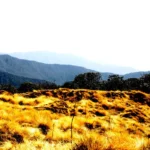 Mardi Himal Trek - 9 Días