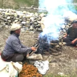 オープンクッキング