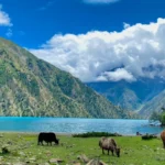 ローワードルポトレッキング