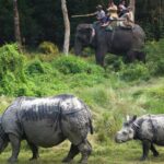 Chitwan National Park