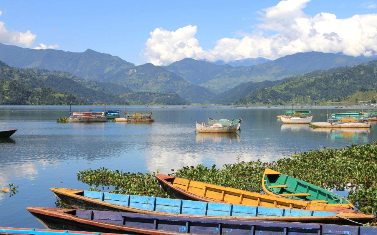 Monarcha Soláthraithe Comh-Aireachta Déantúsóirí Comhdaithe Doras Dúbailte  na Síne - Seirbhís Chustaim, image size:1280x800