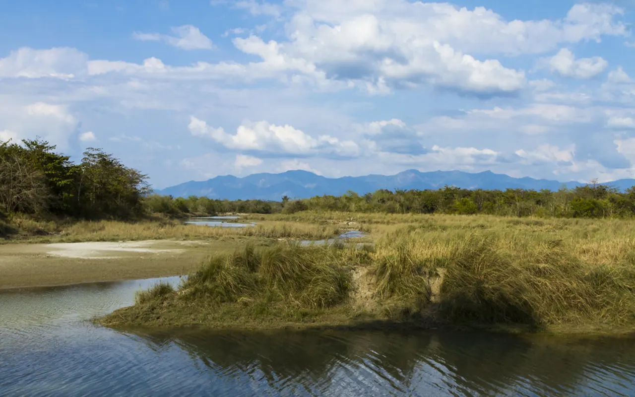Parque Nacional de Bardia