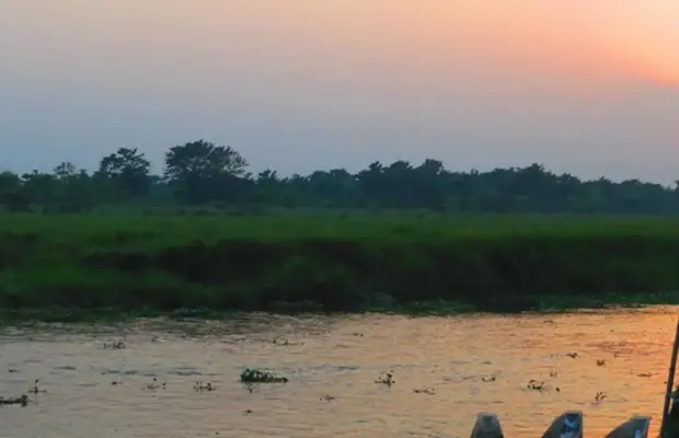 Parques Nacionales de Nepal: Guía completa (Lista actualizada en 2026)