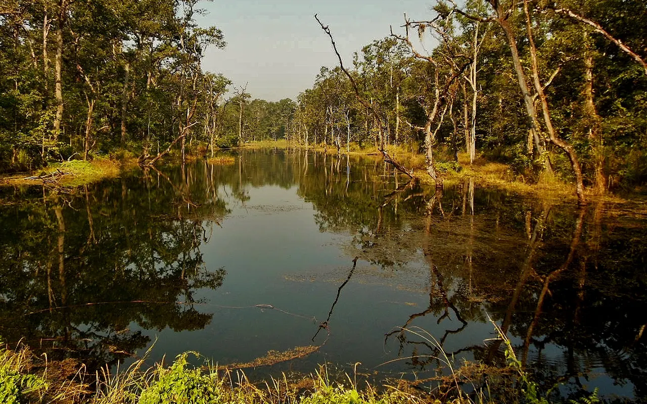 Parque Nacional de Chitwan