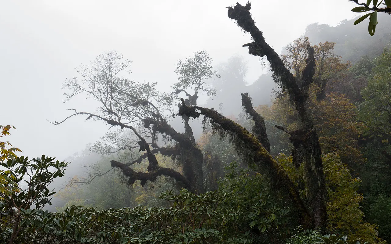 Parque Nacional Makalu Barun