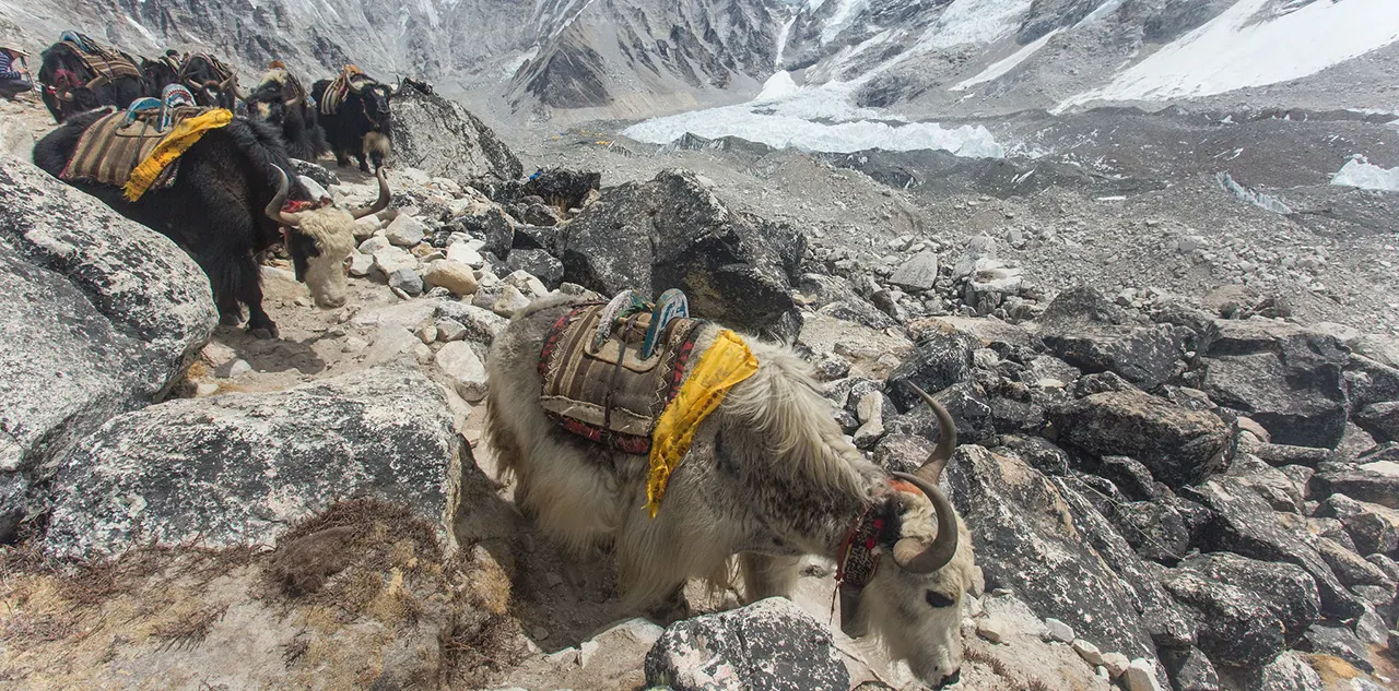 Everest Base Camp Trek Budget Guide 2026 2027 International Travelers