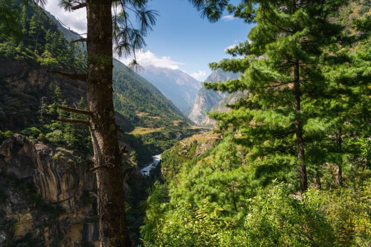 Manaslu Circuit Trek