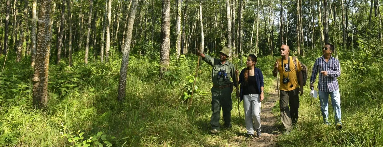 Chitwan Jungle Safari – 3 Days