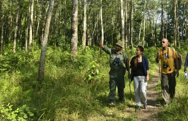 Chitwan Jungle Safari – 3 Days