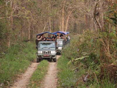Chitwan National Park Safari