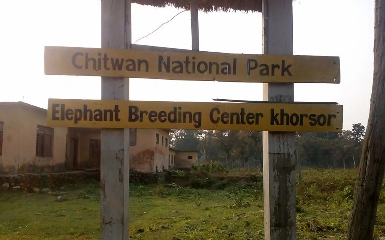 Chitwan