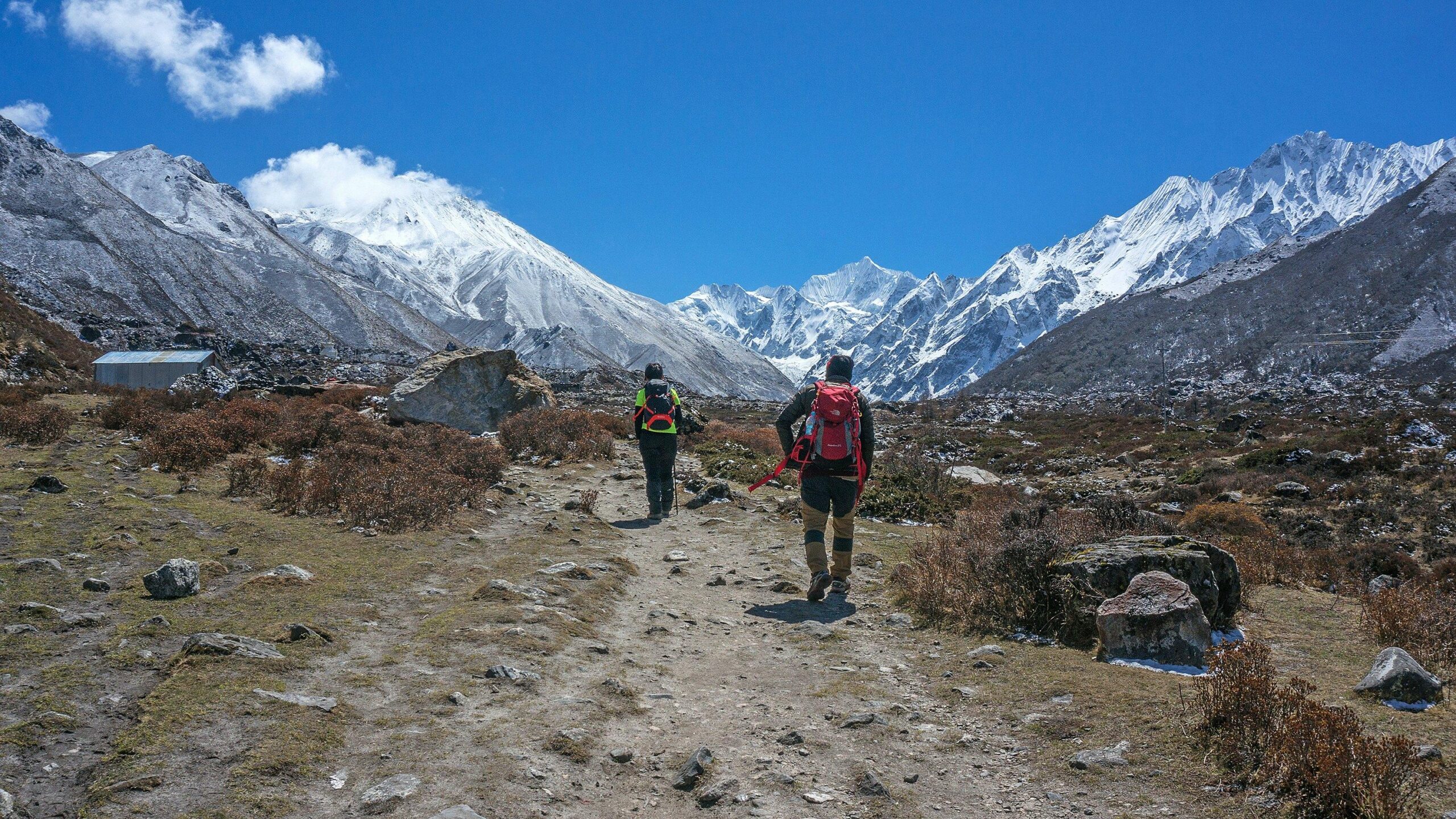 Langtang treks
