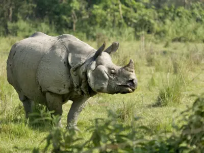 Chitwan’s Natural Environment