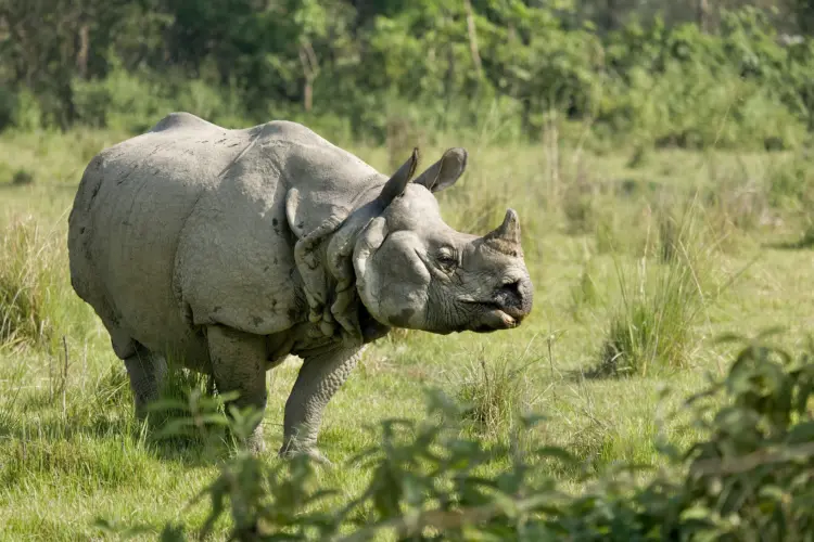 Chitwan’s Natural Environment