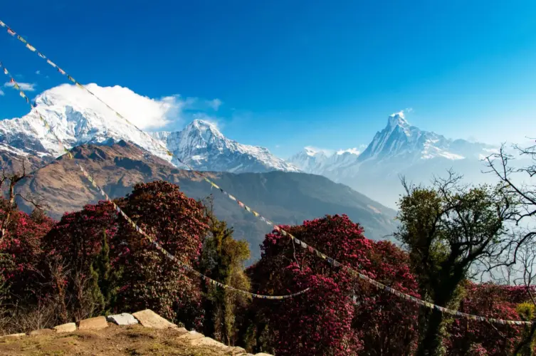 Poon Hill Sunrise and Trek to Tadapani (2,630 m)