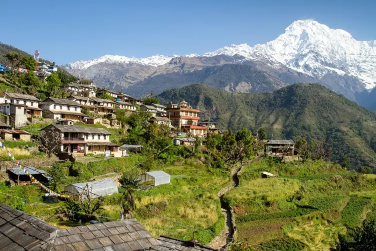 Trek from Tadapani to Ghandruk and Kimche, Then Drive to Pokhara 