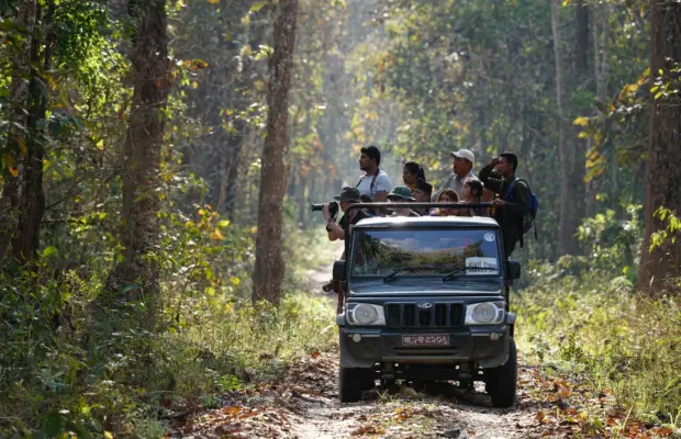 Kathmandu Chitwan Poon Hill Tour: From Heritage Streets to Himalayan Sunrise