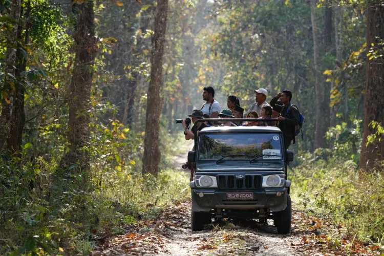Day 5: Wildlife Safari and Nature Activities in Chitwan